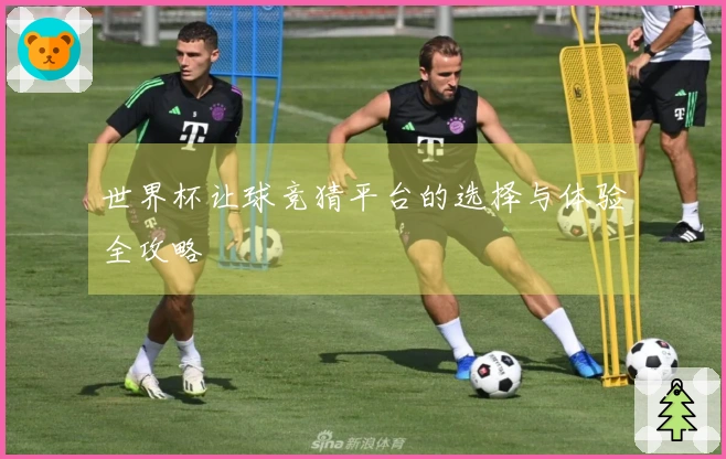 世界杯让球竞猜平台的选择与体验全攻略