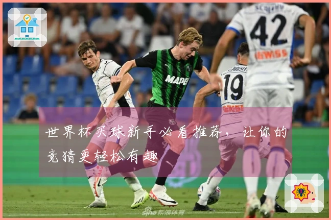 世界杯买球新手必看推荐，让你的竞猜更轻松有趣
