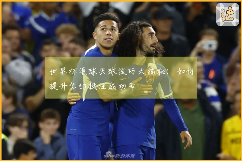 世界杯滚球买球技巧大揭秘：如何提升你的投注成功率